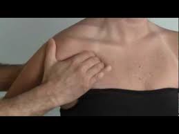 The chest is also referred to as the pecs because the official muscle name of the chest is the pectoralis major and pectoralis minor muscle groups. Palpation Techniques Of The Pectoralis With Joe Muscolino Youtube