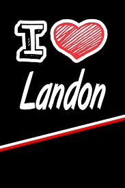Expected outcome of example above: Amazon Com I Love Landon Blank Recipe Cookbook 120 Pages 6 X9 9781795326155 Cole Rob Books