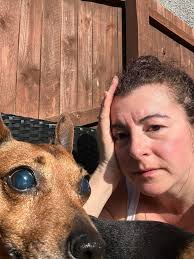 What are some tips for blind pet safety?