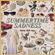 Pin By ˏˋaudrey Braun ˊ On Mood Mood Board Fashion Summertime Sadness Lana Del Rey