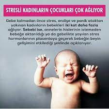 pervin ozkan adli kullanicinin bilgi panosundaki pin bebekler ve ebeveynlik yenidogan bakimi stres