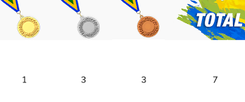 Pension, defined contribution, 401k, federal government, military Quadro De Medalhas Rebeca E Ouro E Fratus Bronze Brasil Com 10 Medalhas Alcir 61
