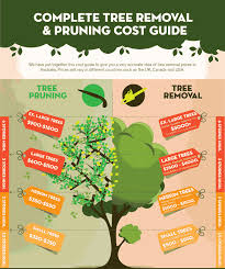 Keep in mind that tree removal does not include limb chipping or log splitting, which you may decide is necessary. Tree Removal Cost Guide 2021 Tree Lopping Prices How To Save 43