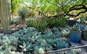 When the texas temperature rises, don't sweat it! Spiky Plants And Gray Foliage Made In The Shade