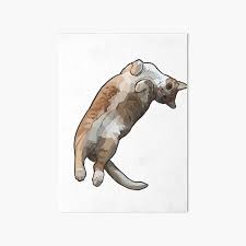 Plenty of cats decor to choose from. Chester Cat Wall Art Redbubble