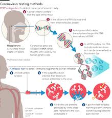 Polymerase chain reaction (pcr) is a method widely used to rapidly make millions to billions of copies of a specific dna sample, allowing scientists to take a very small sample of dna and amplify it to. What Coronavirus Tests Does The World Need To Track The Pandemic Free To Read Financial Times
