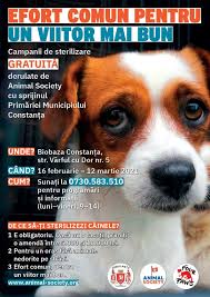 Maybe you would like to learn more about one of these? Dogs Of Constanta Posts Facebook