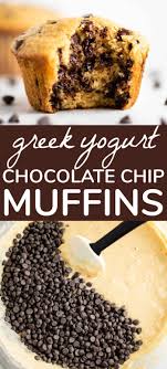 Greek Yogurt Chocolate Chip Muffins In 2020 Healthy Chocolate Muffins Greek Yogurt Recipes Chocolate Chip Muffins