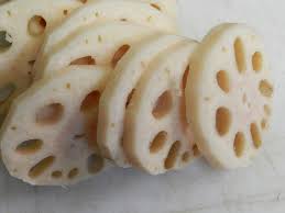 Image result for Lotus discolor