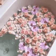 Anime aesthetic flowers and flora gif hunt. Purple Roses Explore Tumblr Posts And Blogs Tumgir