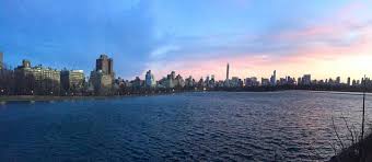 A South African's Guide to New York