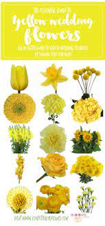 'personality is to a man what perfume is to a flower' and other great sayings. Names And Types Of Yellow Wedding Flowers With Pics Flower Tips