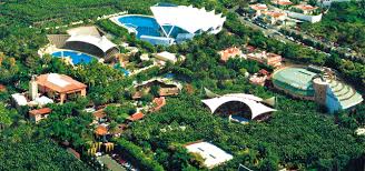 Resultado de imagen de imagenes de loro parque