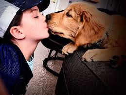 Dachshund loses battle to lymphoma