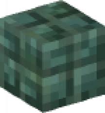 You can craft a block of prismarine and use it for decoration. Dark Prismarine