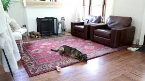 Offers.com is supported by savers like you. Ruggable Review Pros Cons After 6 Months Oak Abode