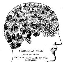 Natural Born Killers Brain Shape Behaviour And The History