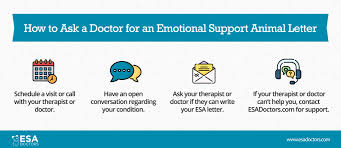 Emotional support animal letter sample therapy pet. How To Ask A Doctor For An Emotional Support Animal Letter Esa Doctors