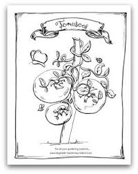 Free Vegetable Garden Coloring Books Printable Activity Pages For Kids Gardens Coloring Book Colorful Garden Coloring Books