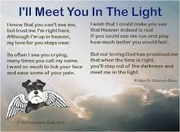 We did not find results for: Pet Loss Poems