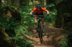 Tire for fat bike cst 26 x 4.00 mountain bike rod rigid new fat tire. Welcome To The 2020 Pinkbike Field Test Cross Country Bike Edition Pinkbike