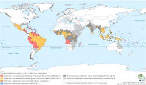 This first quarterly update of the zika strategic response plan (july 2016 to december 2017) includes the latest information on zika across the globe as well as the resources needed to prepare for and respond to zika virus and potential neurological complications. Zika Virus Antworten Auf Haufige Fragen