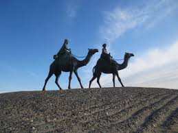 Do not free a camel of the burden of his hump; The Blog Tick Phenomenon The Deserts Of The Moon