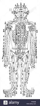 Acupuncture Chart Nchinese Acupuncture Chart Showing The
