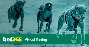 How to bet on dog races. Virtual Greyhounds How To Win Where To Bet On Virtual Dogs
