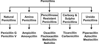 Image result for Extended Spectrum Penicillin