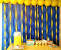 1st Minion Birthday Parties