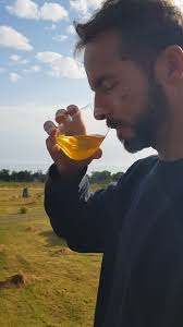 From chaos to order... to pleasure!, To be out picking apples extremely  early, like Summerred with white pips, or Transparent Blanche when ripe (or  just before), feels chaotic. , That astringency and ...