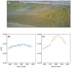 Back to life ‎ (cd, album). B Bpnn1ehfv3m