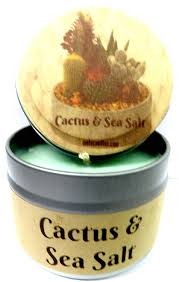 Shop pier 1 for potpourri, room spray, and other home fragrances. Cactus And Sea Salt 4 Ounce All Natural Hand Made Tin Soy Candle Walmart Com Walmart Com