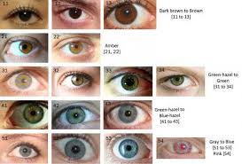 the eye color chart rare eye colors shades of brown eyes