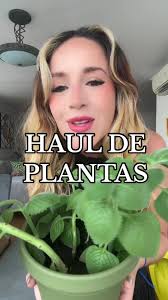 Mis nuevas plantas: ¡Responsabilidad de mamá! 😅