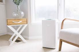 Buy products such as filtrete by 3m room air purifier at walmart and save. The Best Air Purifiers For Allergies 2021 Reviews Top Rated Picks Rolling Stone