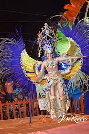 Carnaval De San Ignacio Misiones Region Litoral Carnaval