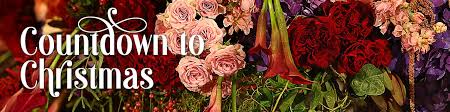 Buy flowers online for same day and next day delivery in poplar bluff, fisk, qulin and the surrounding missouri areas. Saf Holiday Success Series Safnow Org