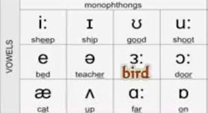 Maybe you would like to learn more about one of these? English With Didi Vowel Sounds Monophthongs Facebook