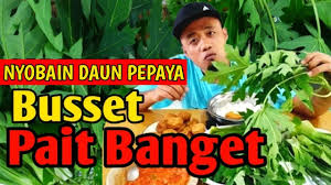 Terakhir masukkan teri dan campur rata. Sambel Terasi Daun Singkong Tumis Sayur Daun Singkong Vs Jantung Pisang Terasi Mudah Siang Hari
