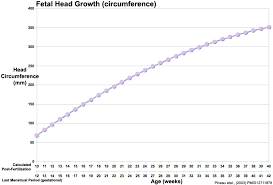 File Fetal Head Growth Circumference Graph01 Jpg Embryology