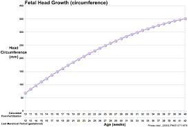 file fetal head growth circumference graph01 jpg embryology