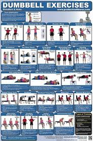 dumbbell exercise poster 2