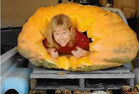 Image result for giant pumpkin