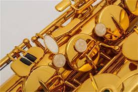 Wholesale Chinese Sax  Tenor Saxophone, High Quality, Made in China -  China Sax and Brass Instrument price | Made-in-China.com