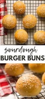 Soft Sourdough Burger Buns Recipe Burger Buns Sourdough Hamburger Buns Recipe Recipe Using Sourdough Starter