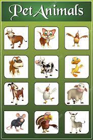 Will you be able to identify all 40 of these interesting creatures, or will you have to look them up? Stockfotos Pet Animals Chart Bilder Stockfotografie Pet Animals Chart Lizenzfreie Fotos Depositphotos