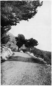 Maybe you would like to learn more about one of these? The Riviera Of The Corniche Road