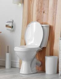 tartre calcaire et traces jaunes ruinent la deco des toilettes en plus de poser des problemes d hygie nettoyage toilette cuvette toilette nettoyage carrelage